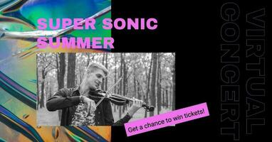 Summer Concert Promo template