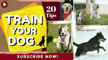 Dog Train Thumbnail template