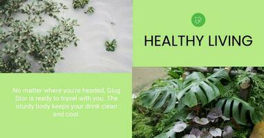 Healthy Living Plants template