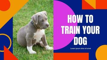 Dog Training Promo template