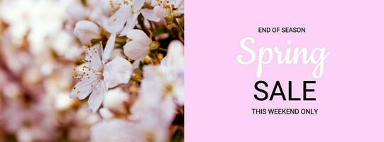 Spring Sale Banner template