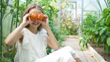 retrato de niño con el tomate grande en las manos en invernadero video