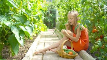 Cute little girl collects crop cucumbers and tomatos in greenhouse video