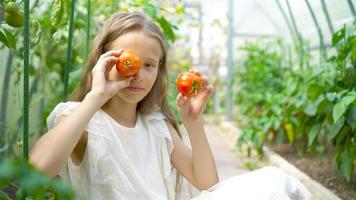 portrait d'enfant avec la grosse tomate dans les mains en serre video