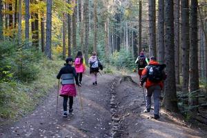 CARPATHIAN MOUNTAINS, UKRAINE - OCTOBER 8, 2022 Mount Hoverla. Carpathians in Ukraine in autumn photo