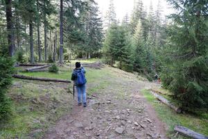 CARPATHIAN MOUNTAINS, UKRAINE - OCTOBER 8, 2022 Mount Hoverla. Carpathians in Ukraine in autumn photo