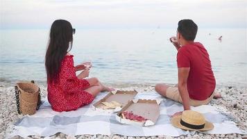 familie hebben een picknick Aan de strand video