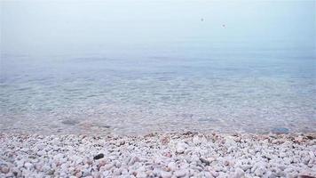 kiezelsteen strand en blauw lucht Aan achtergrond video