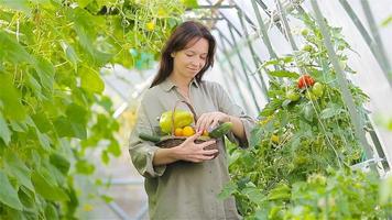 junge Frau mit Korb mit Grün und Gemüse im Gewächshaus. Erntezeit video