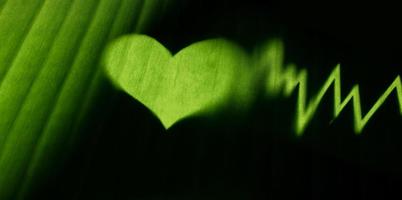 Conceptual Photo. World Environment Day. Global Health Awareness. Green Leaf with Backlit technic as Heart Shape and Beat Rate. Environmental to Love, Care and Sustainable Resources photo