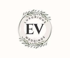 plantilla de logotipos de monograma de boda con letras iniciales ev, plantillas florales y minimalistas modernas dibujadas a mano para tarjetas de invitación, guardar la fecha, identidad elegante. vector