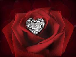 Diamond heart on a Rose Flower on background of beautiful red rose petals photo