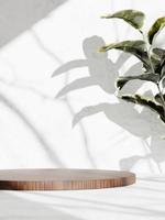 3d wooden display podium with green plant on white floor and wall background. 3d rendering of realistic presentation for product advertising. 3d minimal illustration. photo