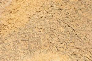 dry groun interesting texture and background. land after drought. desert photo