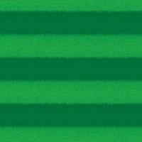 Empty sports arena grass field background vector