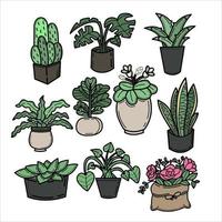 handdrawn doodle indoor plant garden potted plant for room decoration vector