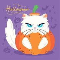 Isolated cute white cat with a halloween pumpkin costume Vector