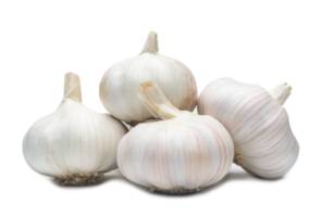 four fresh white garlic bulbs in stack isolated with clipping path and shadow in png file format, Thai herb is great for healing several severe diseases, heart attack, Hyperlipidemia