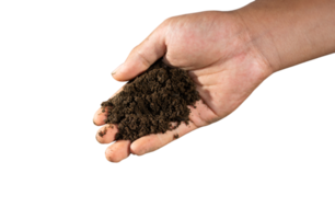 hands holding soil png