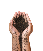 Two hand holding soil isolated png