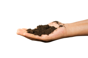 hand holding soil in palm png