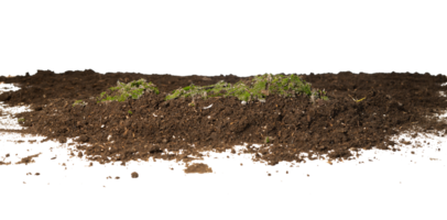 soil with moss isolated png