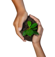 two farmer hands holding a plant png