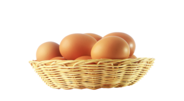 Egg in basket on transparent background png