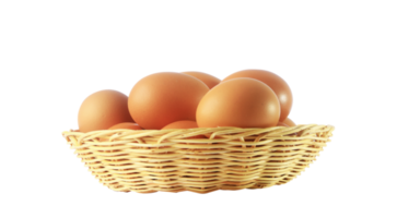 Egg in basket on transparent background png