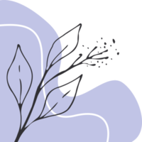 Hand drawn leaf line art with aesthetic shape or aesthetic blob simple decoration png