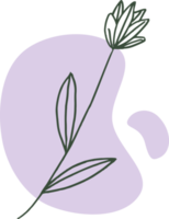 Hand drawn leaf line art with aesthetic shape or aesthetic blob simple decoration png