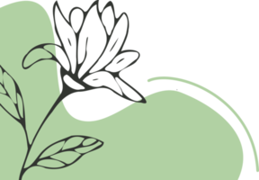 Hand drawn leaf line art with aesthetic shape or aesthetic blob simple decoration png