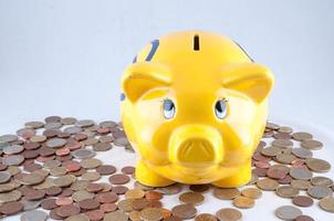 Piggy bank on coins photo