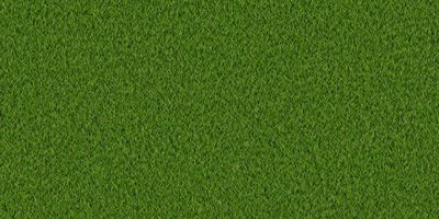 Dense lush park lawn pattern. Textured meadow backdrop. Grass texture. Field background. photo