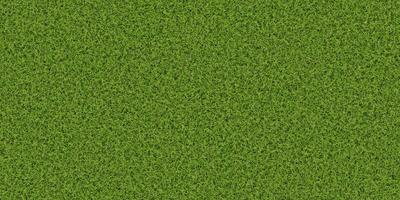 Dense lush park lawn pattern. Textured meadow backdrop. Grass texture. Field background. photo