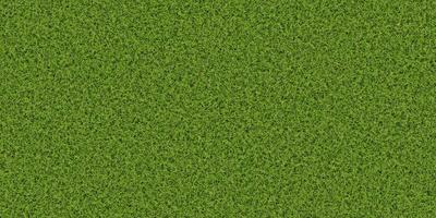 Dense lush park lawn pattern. Textured meadow backdrop. Grass texture. Field background. photo