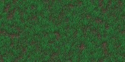 Rare grass texture. Field background. Park lawn pattern. Textured meadow backdrop. photo