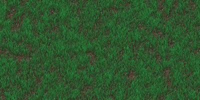 Rare grass texture. Field background. Park lawn pattern. Textured meadow backdrop. photo