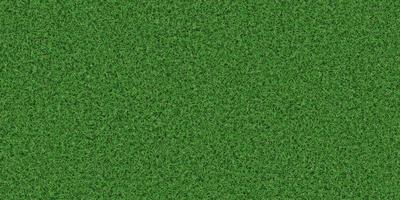 Dense lush field background. Park lawn pattern. Textured meadow backdrop. Grass texture. photo