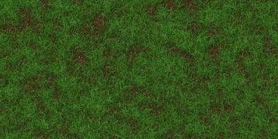 Rare grass texture. Field background. Park lawn pattern. Textured meadow backdrop. photo