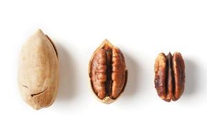 Set of three pecans in the center in a shell, peeled and without a shell isolated on a white background in a row. photo