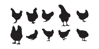 hen, broiler, chicken silhouettes vector illustrator eps10