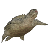 proganochelys isolado 3d render png