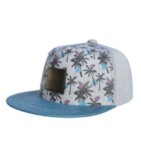 gorra Bosquejo aislado realista png