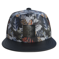 casquette maquette isolé réaliste png