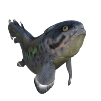 Rhizodus Fish Tail isolated 3d render png