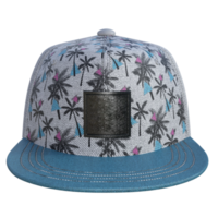 gorra Bosquejo aislado realista png