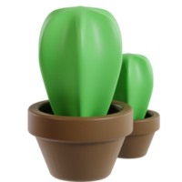 3d cacto plantar png