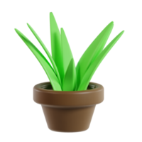 3D Leaf Plant png