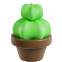 3D Cactus Plant png